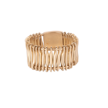 ANEL HSTERN MISCIGENS EM OURO