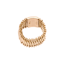 ANEL HSTERN MISCIGENS EM OURO