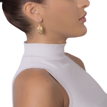 BRINCO DRYZUN FOLHA EM OURO